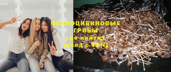 spice Балабаново