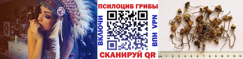 Галлюциногенные грибы мицелий  Галич 